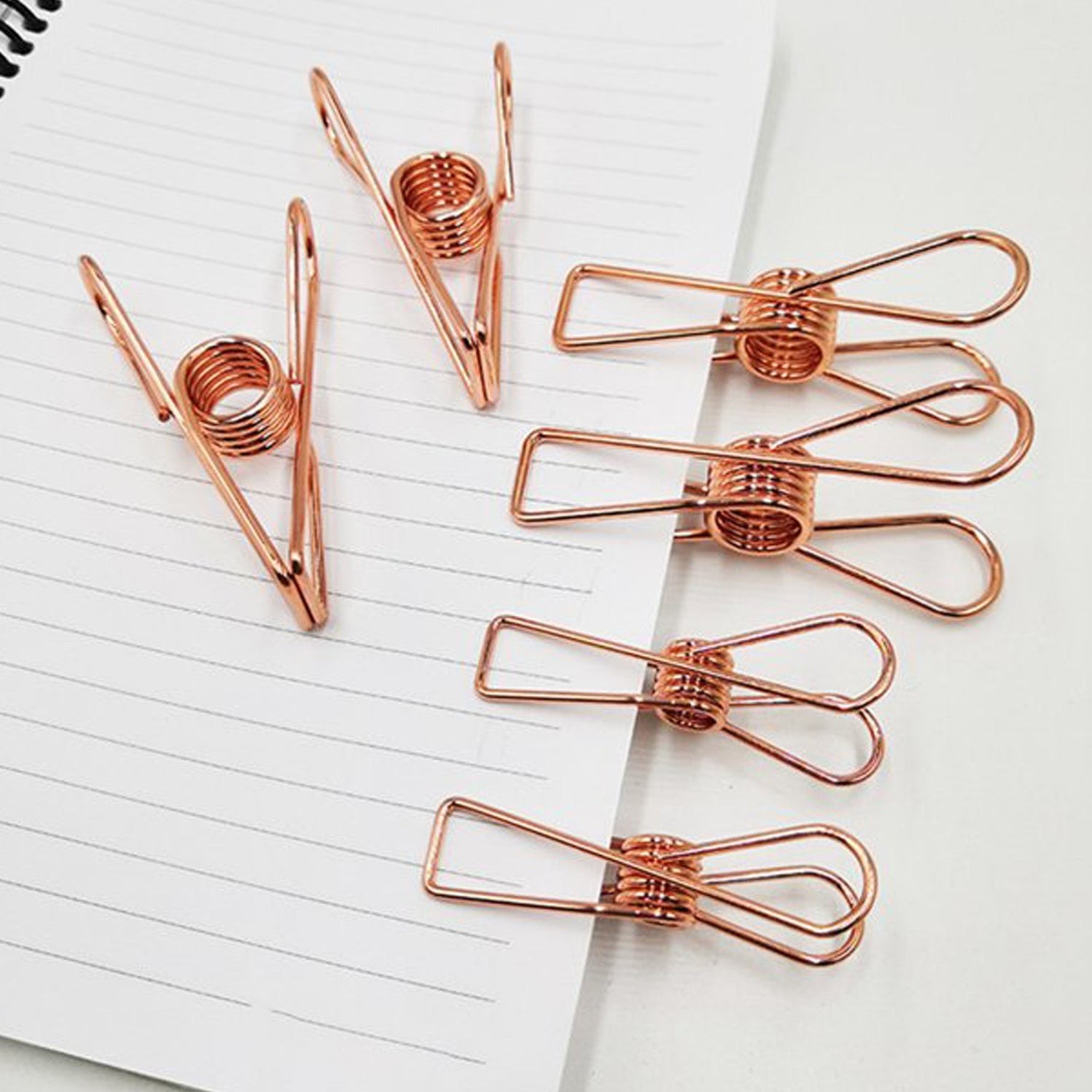 Stainless Steel Multipurpose Sturdy Clothes Hanging Clips by DeoDap